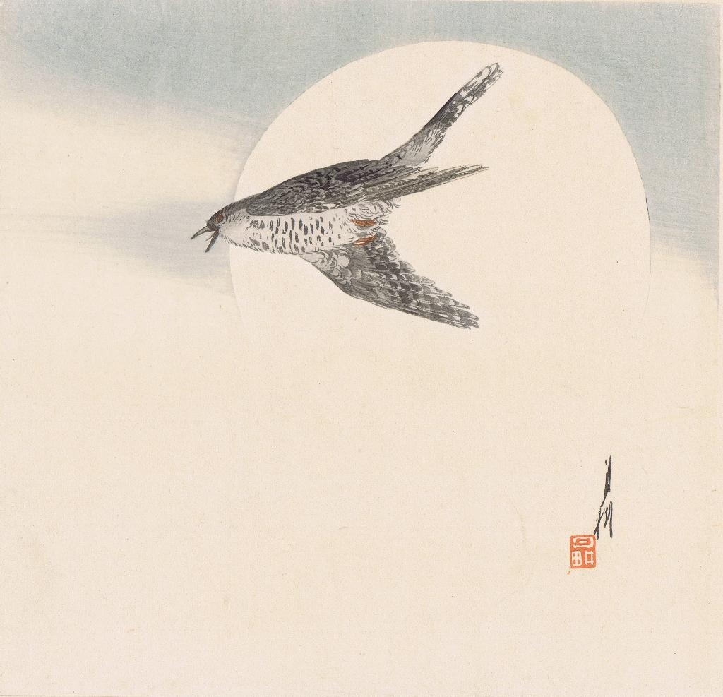 cuckoo and moon